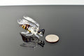 Handmade Glass Bee Figurine: Whimsical Art Glass Sculpture