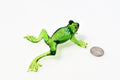 Jumping green glass frog. Whimsical figurine with a lot of character and personality. Excellent addition to your glass collection.