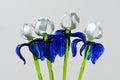 Handmade Blue-White Glass Iris Flower Sculpture - 16 Inch