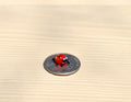 May include: A small red ladybug figurine with black spots and white eyes sitting on a silver US quarter coin.