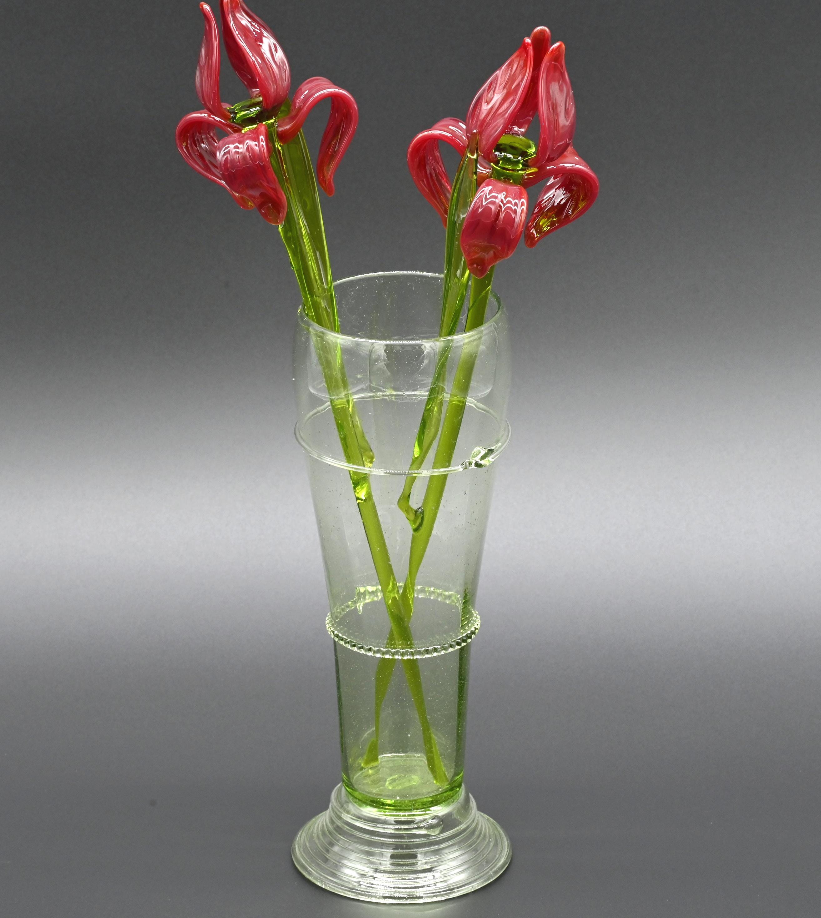 Two Deep red 13" Irises in a hand-blown transparent green glass vase, complete decor accent.