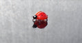 May include: A red and black glass ladybug figurine with white eyes. The ladybug is sitting on a reflective surface.