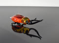 May include: A glass sculpture of a red and black stag beetle with long black antennae. The beetle is lying on its side with its legs outstretched. The sculpture is reflected in a black surface.
