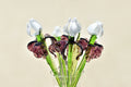 May include: Close-up of a glass art bouquet of irises. Five stemmed irises feature white glass blossoms and deep purple-pink glass leaves. The stems are a mix of light and dark green glass. The bouquet is arranged in a clear glass vase.