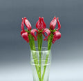 Glass Iris, Red Glass Flowers Bouquet, Long Stem Glass Flowers, Glass Birth Month Flower, Birthday Gifts, Mothers Day Gifts, Spring Decor
