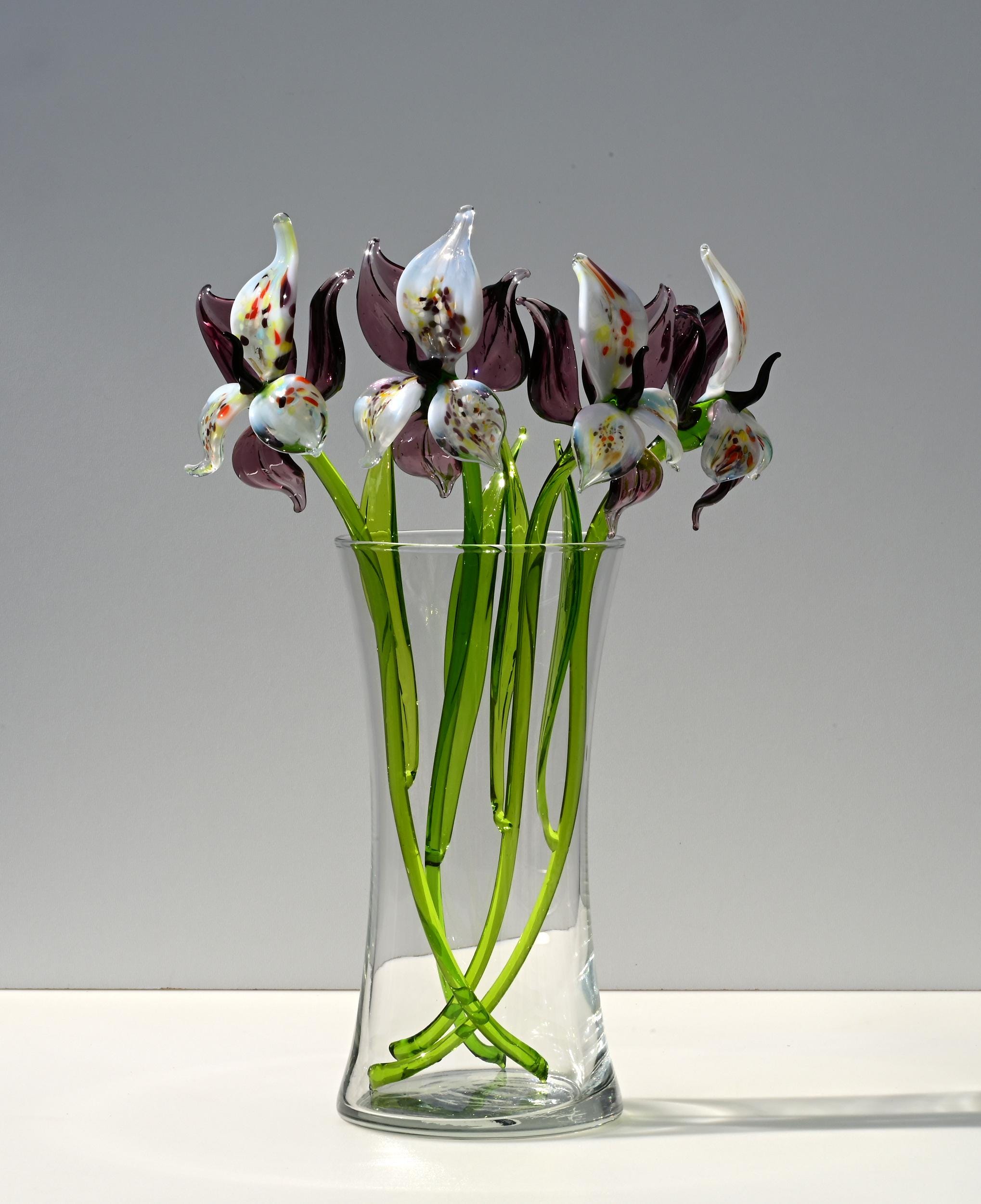 "Eclipse" Orchid Bloom