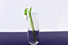"Eira" Handblown Glass Snowdrop