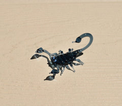 Handmade Glass Scorpion Figurine: Whimsical Art Glass Sculpture