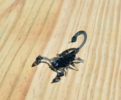 Handmade Glass Scorpion Figurine: Whimsical Art Glass Sculpture