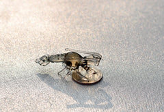 Handmade Glass Lobster Figurine: Whimsical Miniature Sculpture, 2 inch