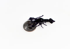 Black Glass Lobster Figurine – Handcrafted Miniature Ocean Animal