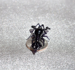 Black Glass Lobster Figurine – Handcrafted Miniature Ocean Animal