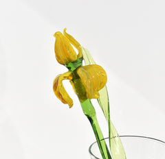 Yellow Glass Iris Flower Sculpture: Flame-Worked Art, Weatherproof Decor