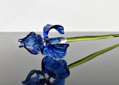 Handblown 15” Glass Iris Flower – Blown Glass Blue Iris Stem, Realistic Floral Art, Handmade Glass Home Decor & Unique Gift Idea