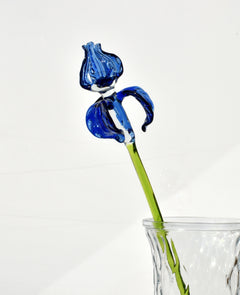 Handblown 15” Glass Iris Flower – Blown Glass Blue Iris Stem, Realistic Floral Art, Handmade Glass Home Decor & Unique Gift Idea