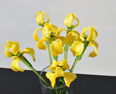 Beautiful extra  long stem yellow glass Iris flower. Excellent addition to your glass collection. Each flower is priced individually.