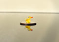 Handblown Miniature Glass Duck: Tiny Yellow Figurine, Fairy Garden Decor