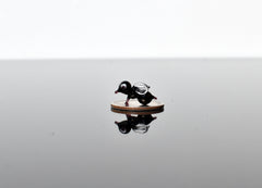 Insect Art, Glass Animals, Tiny Glass Animals, Bug Decor, Mini Glass Animals, Fly, Glass Bugs, Lampwork Glass, Bugs, Glass Figurines