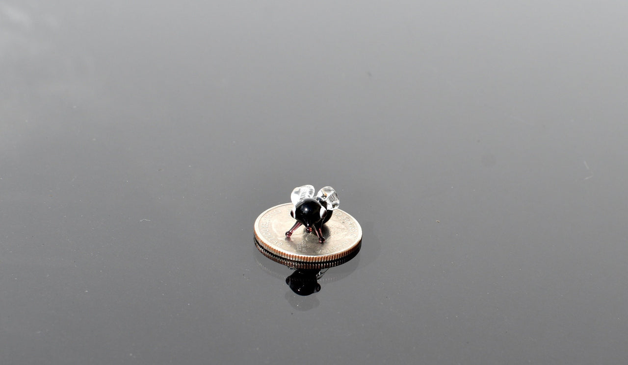 Insect Art, Glass Animals, Tiny Glass Animals, Bug Decor, Mini Glass Animals, Fly, Glass Bugs, Lampwork Glass, Bugs, Glass Figurines