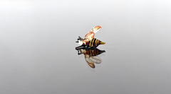 Tiny Glass Honey Bee Figurine: Miniature Insect Sculpture