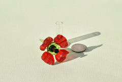 Miniature Glass Poppy Flower in Vase: Handmade Collectible Statue