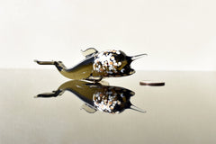 Handmade Glass Narwhal Figurine: Flame Work Collectible, 4-inch