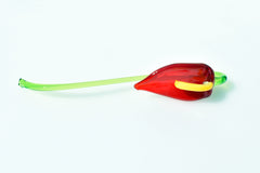 Handmade Glass Anthurium Flower: Red & Yellow Flame-Worked Sculpture
