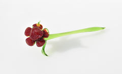 Handmade Red Glass Flower Sculpture: Flame Work Art Glass