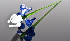 Handblown Glass Iris Flower Bouquet, Blue and White Murano Style Glass Flowers, Birth Flower Art, Collectible Home Decor
