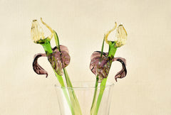 Handmade Glass Iris Flower Sculpture: Purple & Gold, Weatherproof Decor