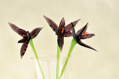 Handmade Purple Glass Bird of Paradise Flower - 10 Inch