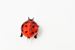 Handmade Glass Ladybug Figurine: Whimsical Art Glass Sculpture