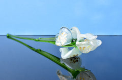 Glass iris - White Glass Flower Bouquet - Blown Glass Flowers - Glass Flowers - Christmas Gift for Her Decor