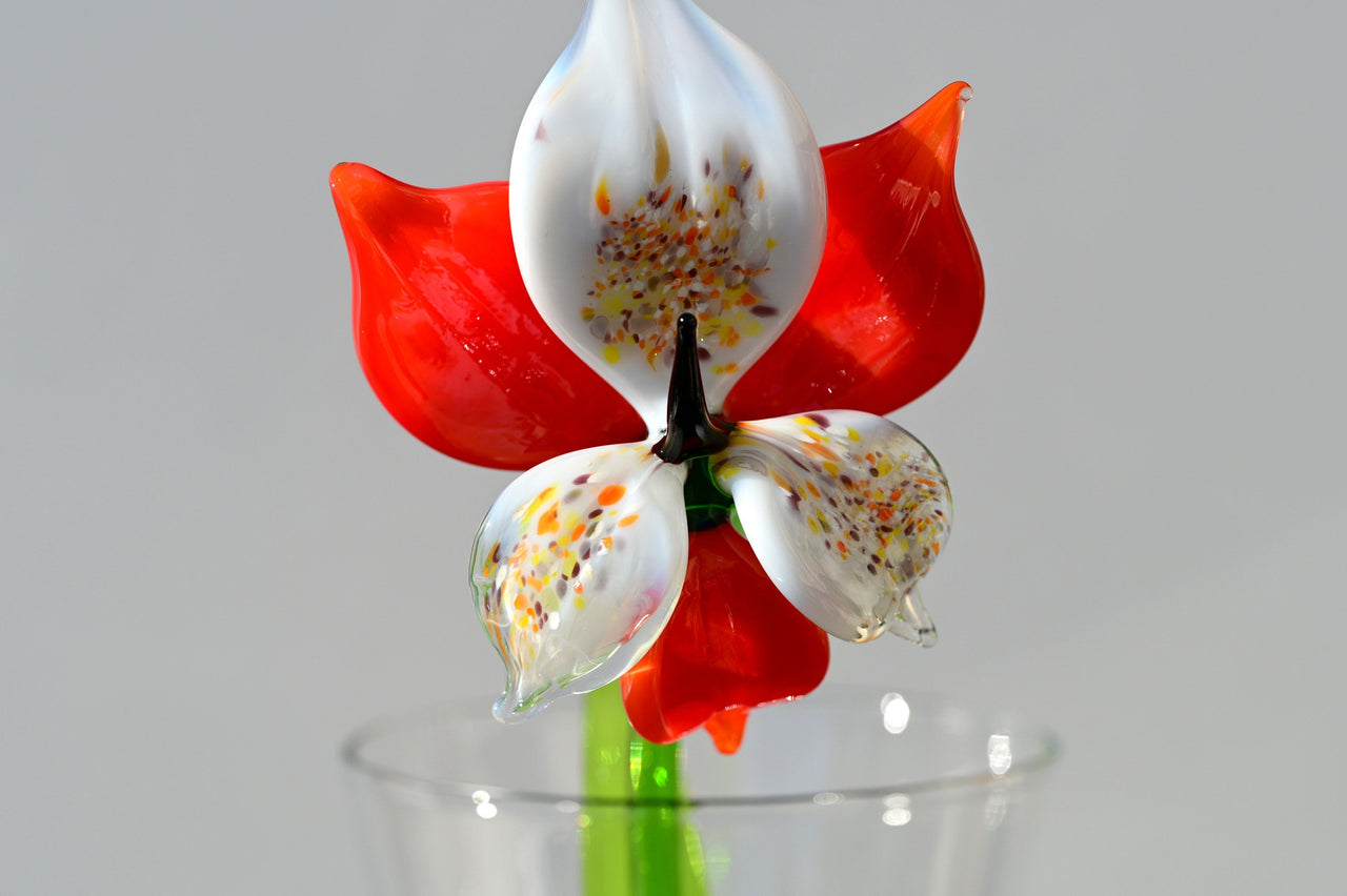 Red Glass Orchid Flower – Glass Flowers Mothers Day Gifts - Handblown Glass Orchid Stem – Gift for Mothers Day & Anniversaries