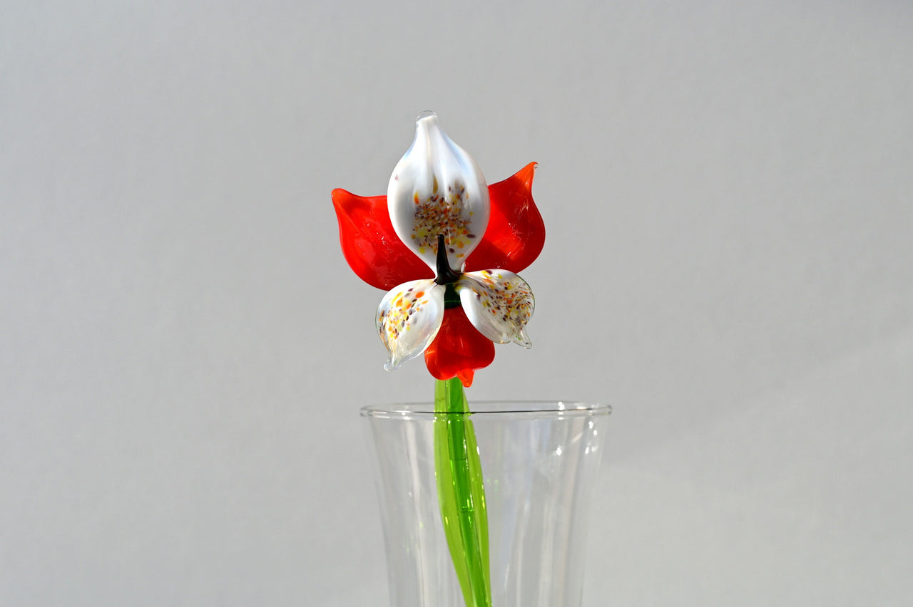Handmade Red-White Glass Orchid Flower: Collectible Sculpture