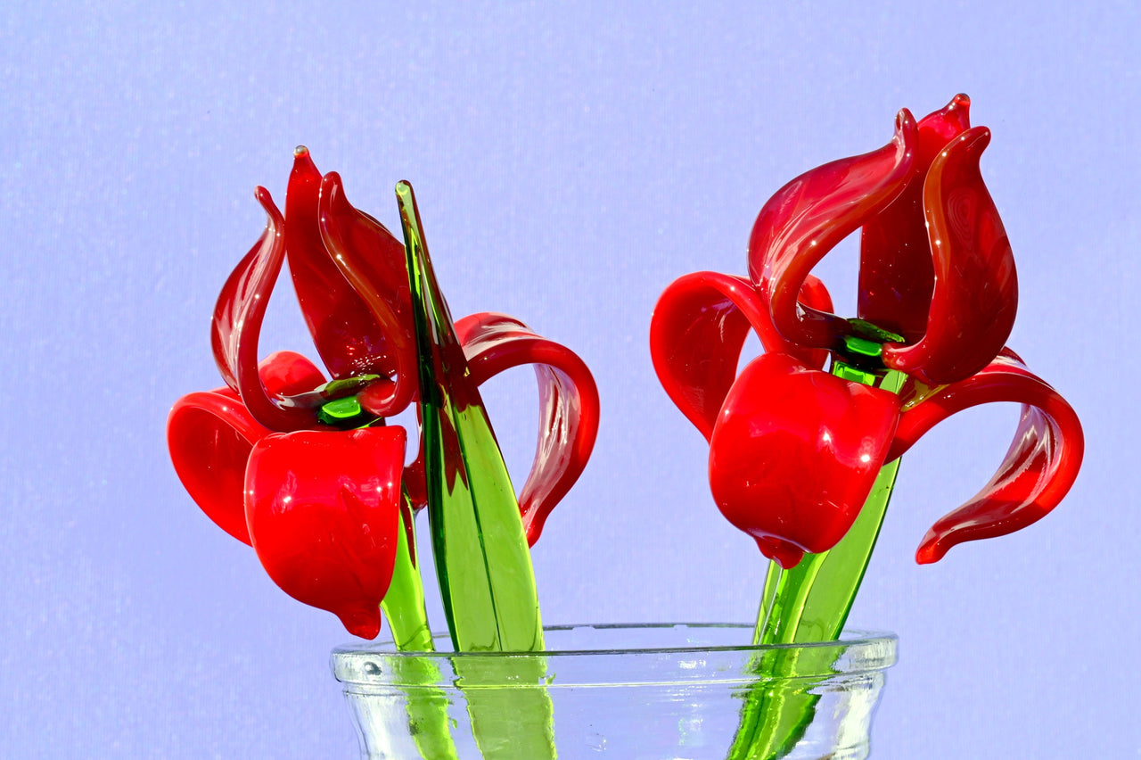 Hand Blown Red Glass Iris Flower: Long Stem Sculpture