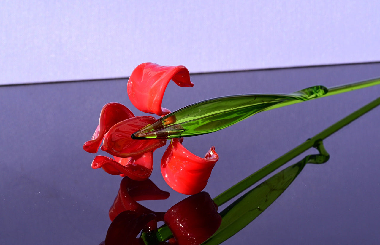 Hand Blown Red Glass Iris Flower: Long Stem Sculpture