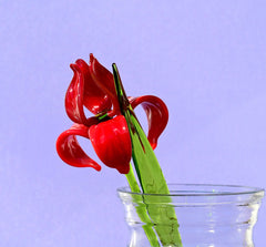 Hand Blown Red Glass Iris Flower: Long Stem Sculpture