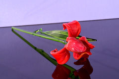 Hand Blown Red Glass Iris Flower: Long Stem Sculpture
