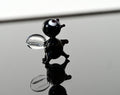 Lampwork Glass Fly Miniature: Whimsical Black Clear Figurine