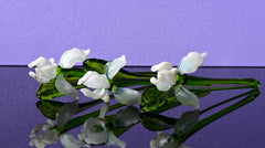 Hand Blown Glass Iris Flower Sculpture: White Clear Art Glass Decor