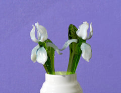 Hand Blown Glass Iris Flower Sculpture: White Clear Art Glass Decor