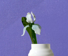 Hand Blown Glass Iris Flower Sculpture: White Clear Art Glass Decor