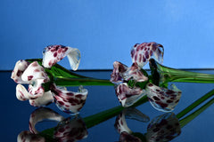 Handmade Leopard Glass Iris Flower: Collectible Art Sculpture