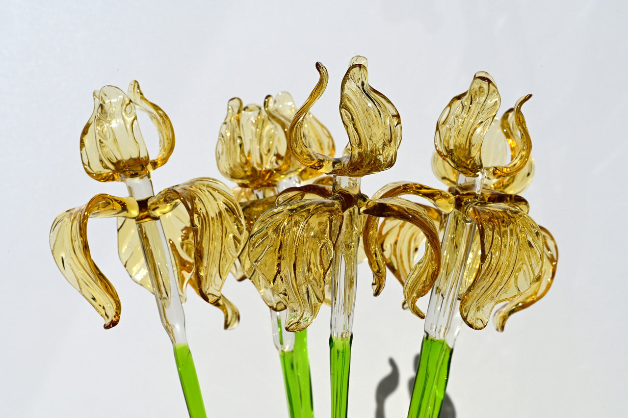 Golden Iris Handblown Glass Flower – Elegant Long Stem Botanical Art, Timeless Gift for Birthdays, Anniversaries & Mother’s Day