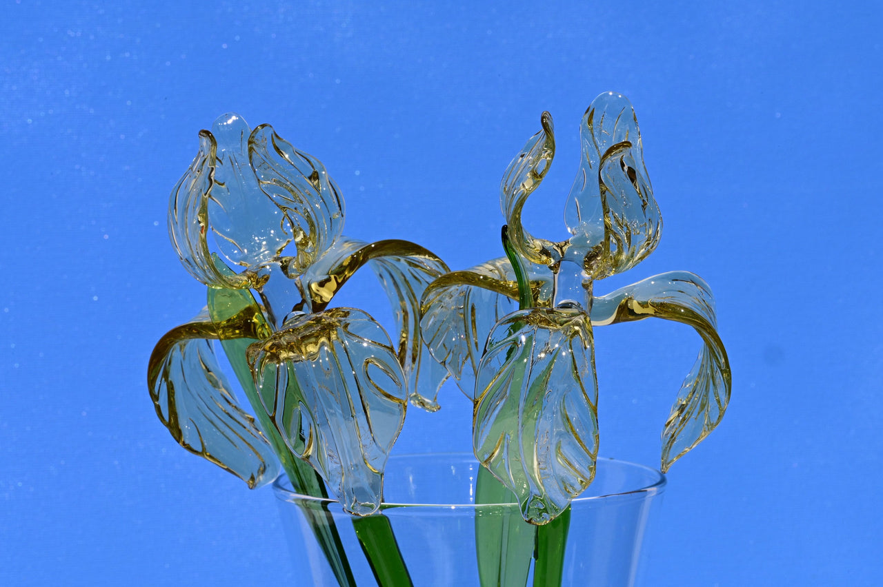 Glass Iris Flower - Hand Blown Glass Iris - Golden Glass Flowers Bouquet - Blown Glass Flowers - Christmas Gift for Mom