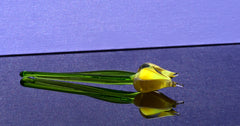 Handmade Yellow Opal Glass Tulip: Flame Worked Sculpture