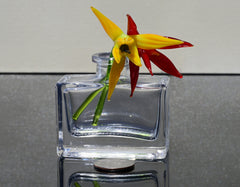 Handmade Red & Yellow Glass Bird of Paradise Flower Gift – 2 Short-Stem Blooms