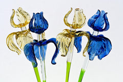 Hand-Blown Glass Iris Bouquet: Blue & Gold Flowers, Flame Work Art