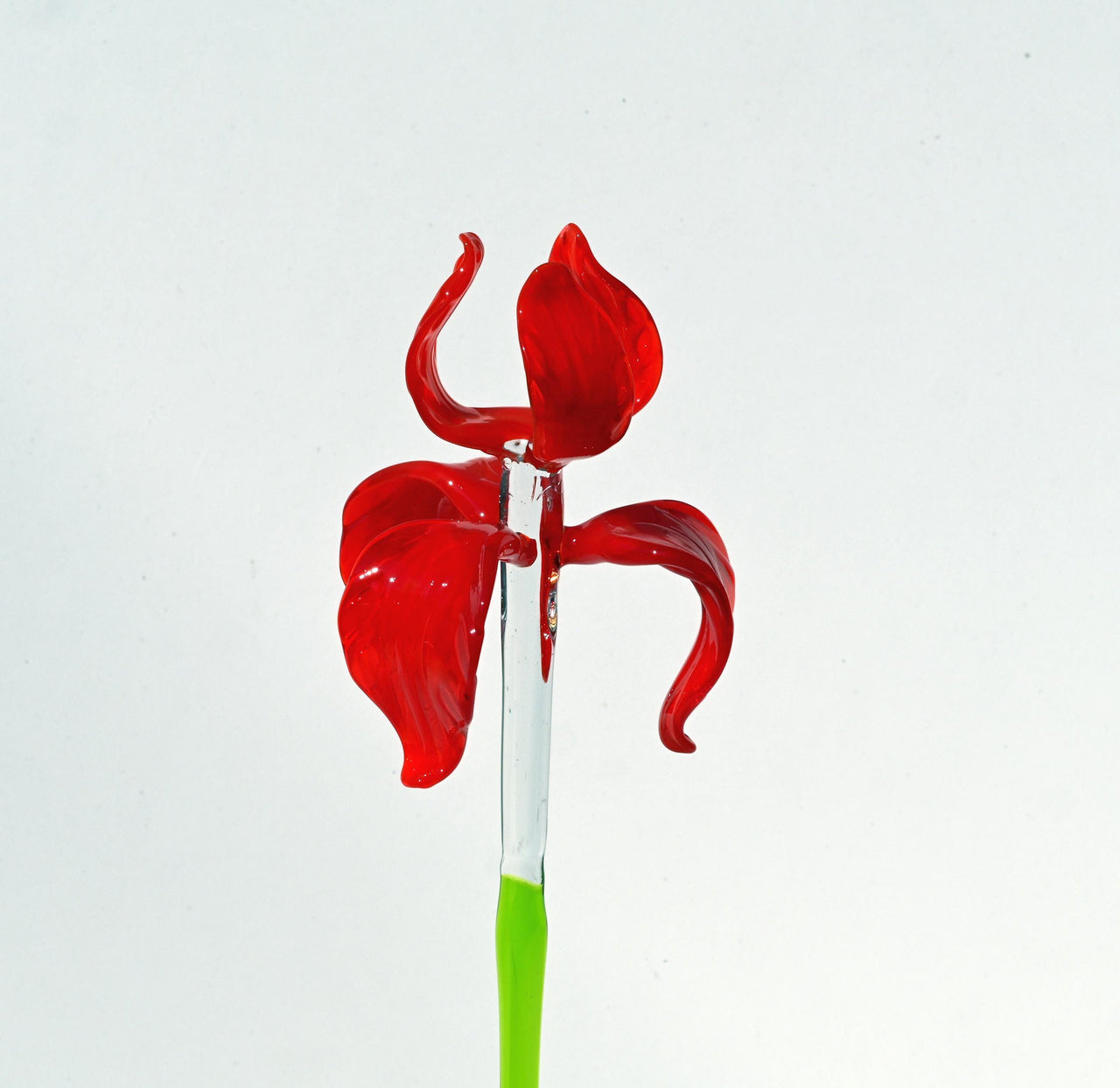 Handblown Red Glass Iris Flower - 17" Tall Floral Art